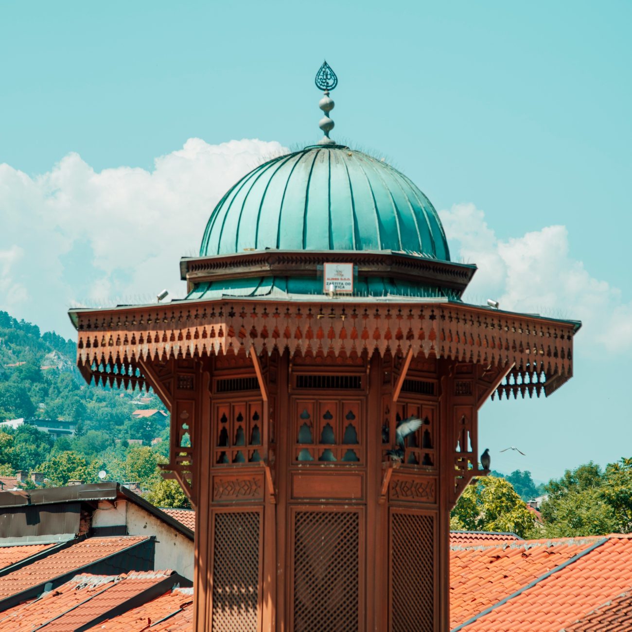 xhem-photo-IAenUylMT00-unsplash (1)
